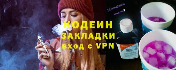 хмурый Ладушкин
