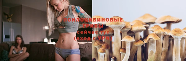 хмурый Ладушкин