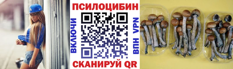 наркотики  Малоярославец  Галлюциногенные грибы ЛСД 