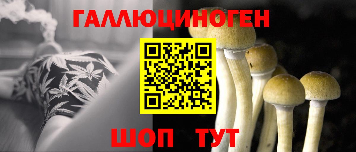 Малоярославец  Галлюциногенные грибы мицелий  Вход с VPN 