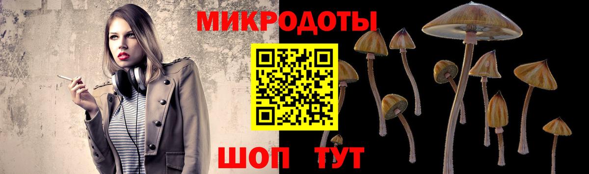 Псилоцибиновые грибы Psilocybe Малоярославец